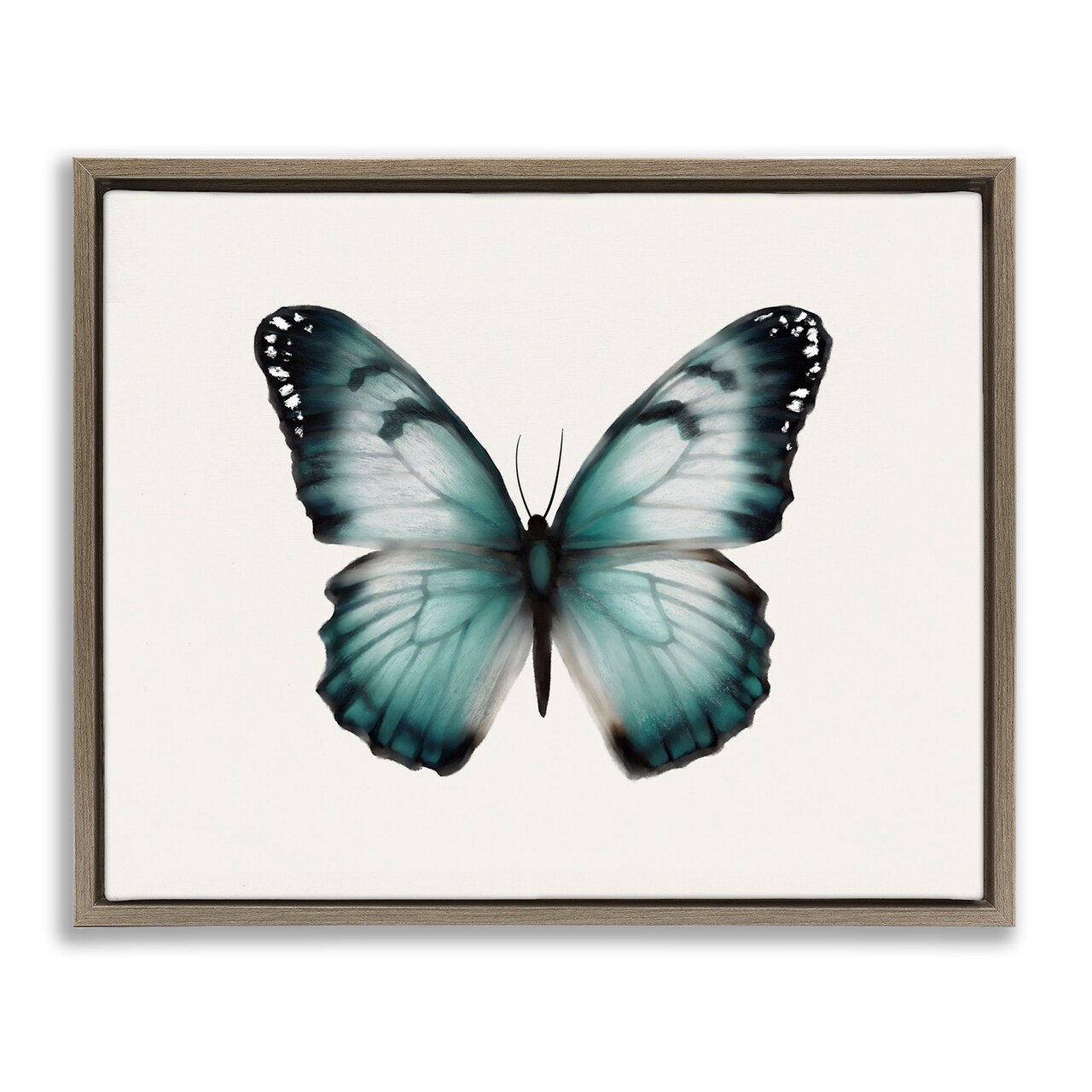 Stupell Industries Teal Symmetrical Butterfly Framed Floater Canvas Wall Art Design by Elizabeth Medley